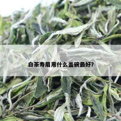 白茶寿眉用什么盖碗更好？