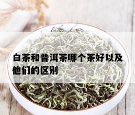 白茶和普洱茶哪个茶好以及他们的区别