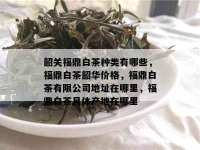 韶关福鼎白茶种类有哪些，福鼎白茶韶华价格，福鼎白茶有限公司地址在哪里，福鼎白茶具体产地在哪里