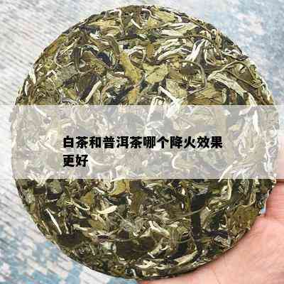 白茶和普洱茶哪个降火效果更好