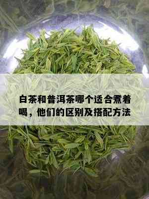 白茶和普洱茶哪个适合煮着喝，他们的区别及搭配方法