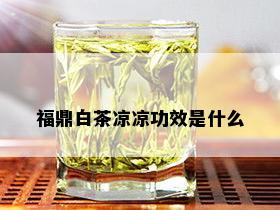 福鼎白茶凉凉功效是什么