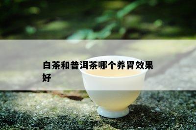 白茶和普洱茶哪个养胃效果好