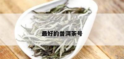 更好的普洱茶号