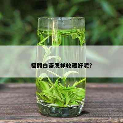 福鼎白茶怎样收藏好呢？