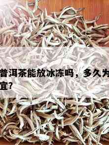 普洱茶能放冰冻吗，多久为宜？