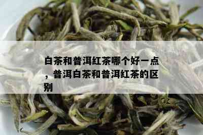 白茶和普洱红茶哪个好一点，普洱白茶和普洱红茶的区别