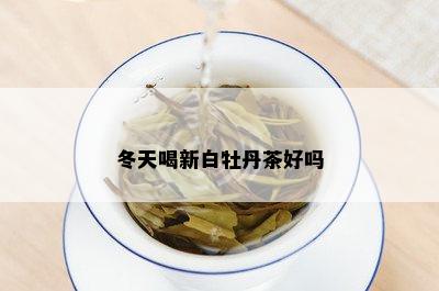 冬天喝新白牡丹茶好吗