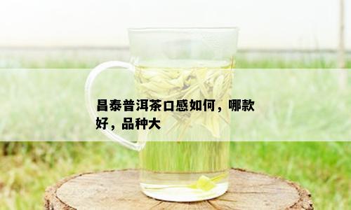 昌泰普洱茶口感如何，哪款好，品种大