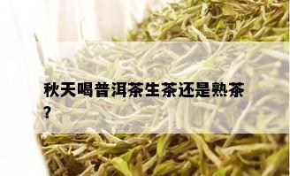 秋天喝普洱茶生茶还是熟茶？