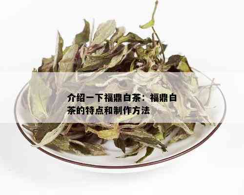 介绍一下福鼎白茶：福鼎白茶的特点和制作方法