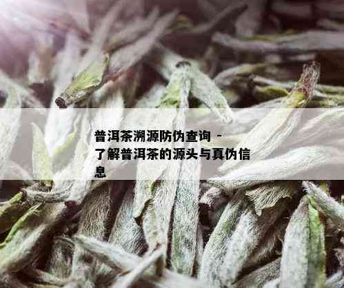 普洱茶溯源防伪查询 - 了解普洱茶的源头与真伪信息