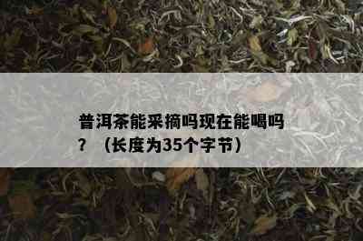 普洱茶能采摘吗现在能喝吗？（长度为35个字节）