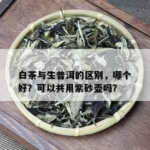 白茶与生普洱的区别，哪个好？可以共用紫砂壶吗？