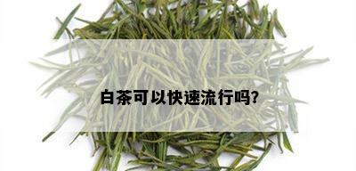 白茶可以快速流行吗？