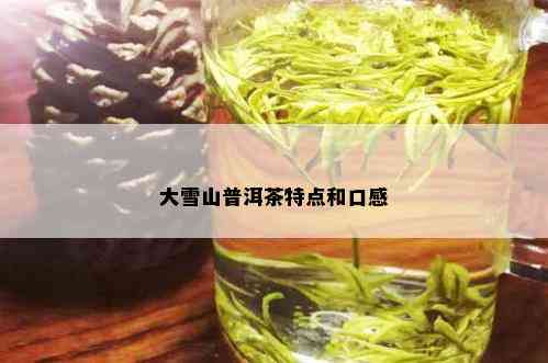 大雪山普洱茶特点和口感