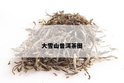 大雪山普洱茶图