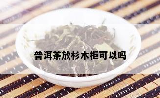 普洱茶放杉木柜可以吗