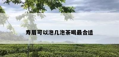 寿眉可以泡几泡茶喝最合适