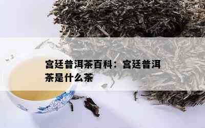 宫廷普洱茶百科：宫廷普洱茶是什么茶