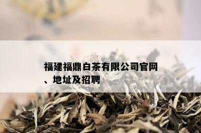 福建福鼎白茶有限公司官网、地址及招聘