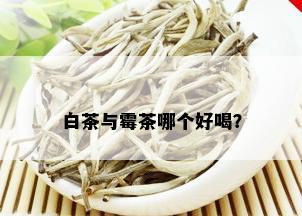 白茶与霉茶哪个好喝？