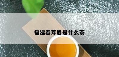 福建春寿眉是什么茶