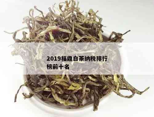 2019福鼎白茶纳税排行榜前十名