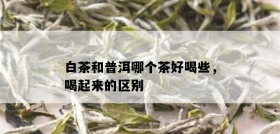 白茶和普洱哪个茶好喝些，喝起来的区别