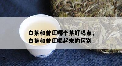 白茶和普洱哪个茶好喝点，白茶和普洱喝起来的区别