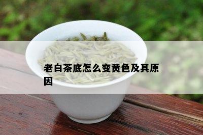 老白茶底怎么变黄色及其原因