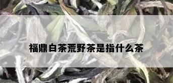 福鼎白茶荒野茶是指什么茶