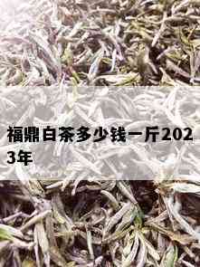 福鼎白茶多少钱一斤2023年