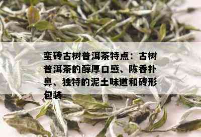 蛮砖古树普洱茶特点：古树普洱茶的醇厚口感、陈香扑鼻、独特的泥土味道和砖形包装