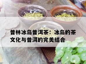 普林冰岛普洱茶：冰岛的茶文化与普洱的完美结合