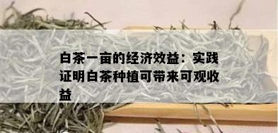 白茶一亩的经济效益：实践证明白茶种植可带来可观收益