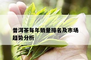 普洱茶每年销量排名及市场趋势分析