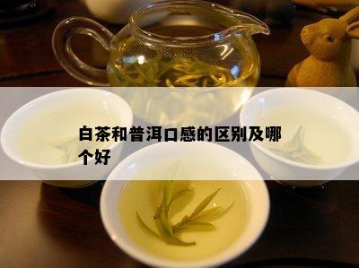 白茶和普洱口感的区别及哪个好