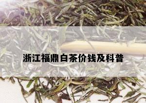 浙江福鼎白茶价钱及科普