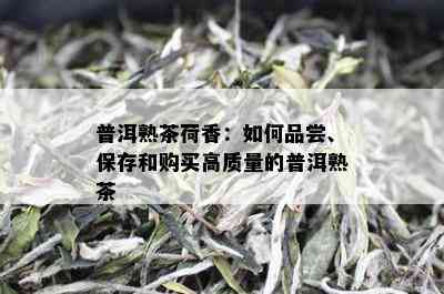 普洱熟茶荷香：如何品尝、保存和购买高质量的普洱熟茶