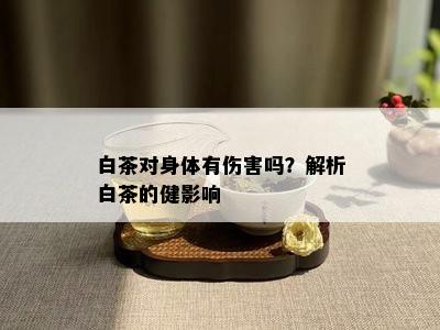 白茶对身体有伤害吗？解析白茶的健影响