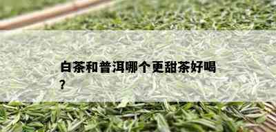 白茶和普洱哪个更甜茶好喝？