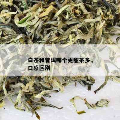 白茶和普洱哪个更甜茶多，口感区别