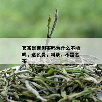 茗茶是普洱茶吗为什么不能喝，这么贵，叫茶，不是名茶