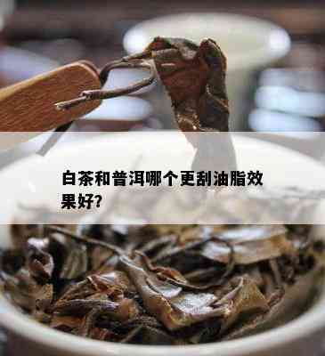 白茶和普洱哪个更刮油脂效果好？