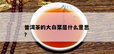 普洱茶的大白菜是什么意思？