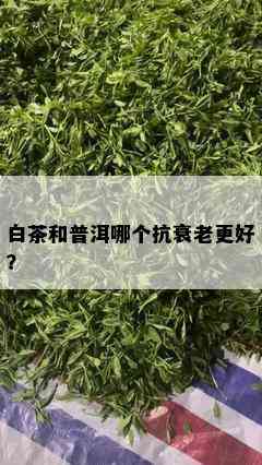 白茶和普洱哪个抗衰老更好？