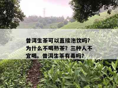 普洱生茶可以直接泡饮吗？为什么不喝熟茶？三种人不宜喝。普洱生茶有吗？