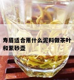 寿眉适合用什么泥料做茶叶和紫砂壶