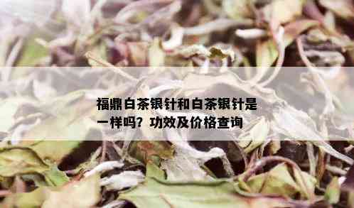 福鼎白茶银针和白茶银针是一样吗？功效及价格查询